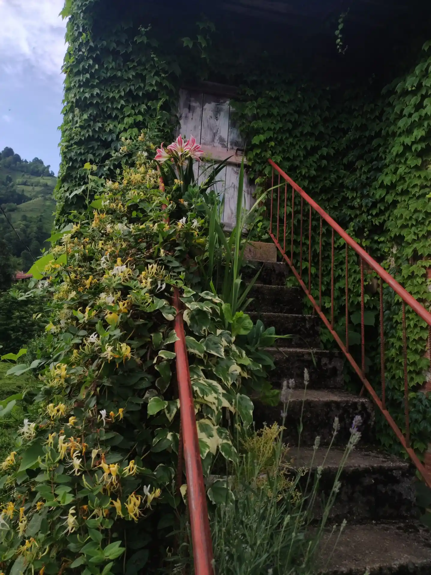 Otel ve Doğa